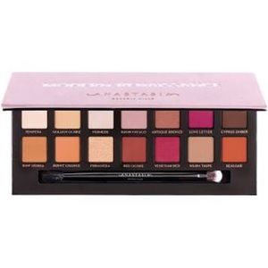 Modern Renaissance palette